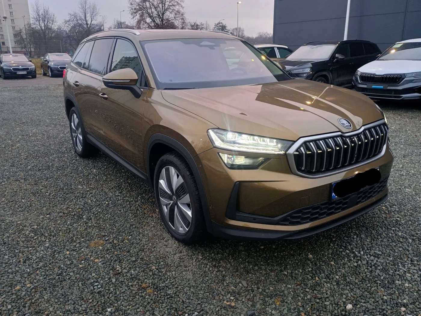 Skoda Kodiaq z realizacji Majster Leasing